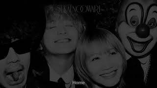 (한글자막)SEKAI NO OWARI - Home (Live Effect)