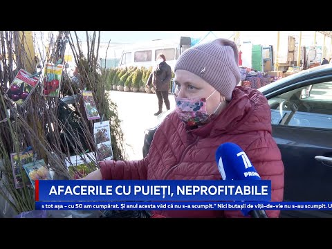 Afacerile cu puieți, neprofitabile