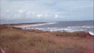 The Chieftains .... Lullaby for the Dead .... ft. Moya Brennan, Ry Cooder