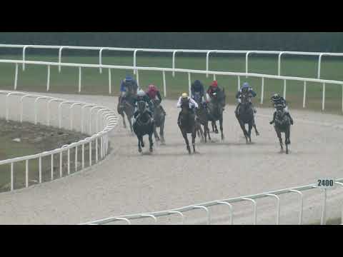 2020.10.25. 05. futam - BAYER ANDRÁS EMLÉKVERSENY HENDIKEP (III.o.) (szintetikus pálya)