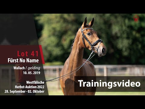 Herbst-Auktion Training Lot 41 Fürst No Name Wallach v. Fürst Samarant - Douceur