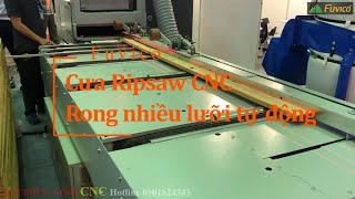 Máy cưa rong ripsaw cnc nhiều lưỡi Đài Loan