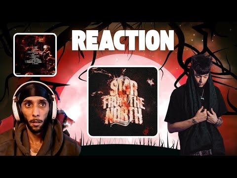 Maurynorth - Star from the north REACTION integrale