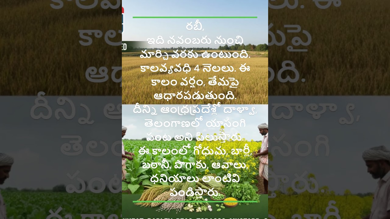 వ్యవసాయం - పంటకాలాలు: ఖరీఫ్, రబీ,  జైద్/జయద్ సీజన్! #agriculture #kharif #rabi #zaid #zaydseason