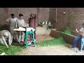 Chaff cutter cum Advanced Toka most efficient no 1 quality in Pakistan manufactuered in Gujranwala