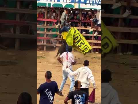 presentación de "arroz con pollo" oriundo de calamar - Bolívar