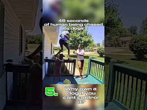 46 Seconds of Humans being chased by dogs… #dogs #humans #funny #running #scared #viralvideo #viral