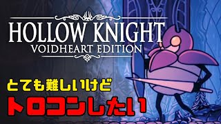 【HOLLOW KNIGHT】監視者の尖塔 最強のエイヘイムシ達｜トロコンを目指して #20【ホロウナイト】