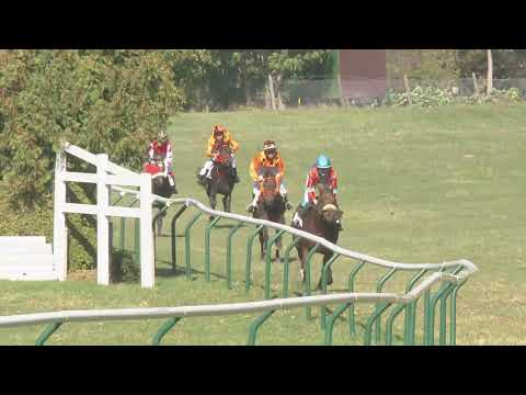 Maienfeld/14.10.2018/Poneys D - Preis der Firma Intool AG