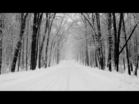 Vivaldi - Concerto No.4 'L'Inverno' (Winter) RV297 in F Minor: Allegro Non Molto