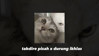 Download lagu Takdire pisah x durung ikhlas (speed up Reverb) mp3 Download lagu Takdire pisah x durung ikhlas (speed up Reverb) mp3