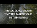 The Old-Growth Coastal Temperate Rainforests of British Columbia (Closed Captioned)