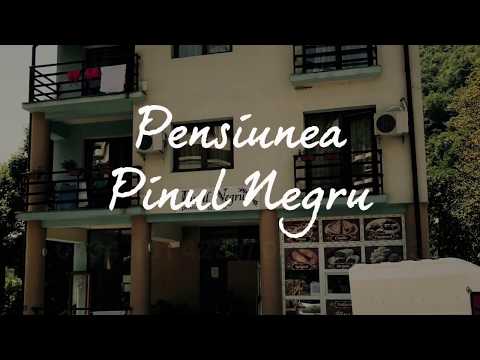 Cazare Baile Herculane Pensiunea Pinul Negru