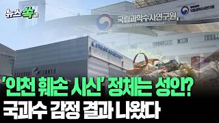 '인천 훼손 시신' 정체는 성인?…국과수 감정 결과 나왔다 [뉴스쏙] / 연합뉴스TV(YonhapnewsTV)