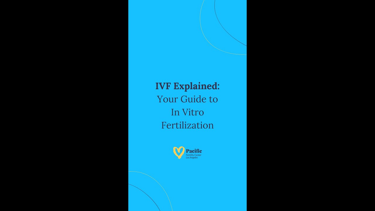 IVF Explained: Your Guide to In Vitro Fertilization