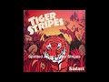 Spirited Away / Tiger Stripes #techhouse #houseclssics #tigerstripes