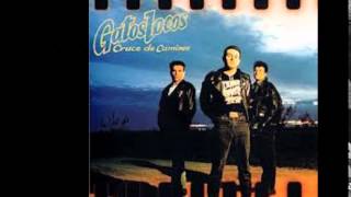 GATOS LOCOS DOS LOCOS