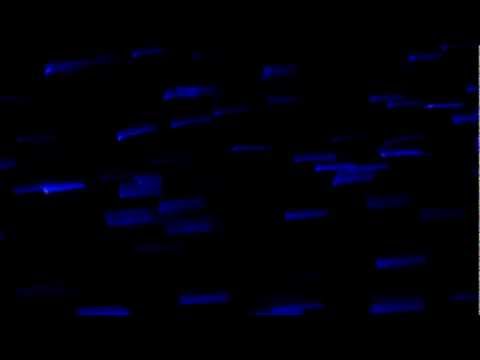 SS4 in PARIS - Feels good (2)