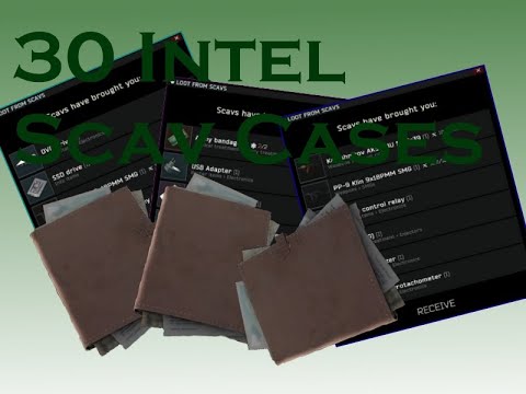 Escape From Tarkov - 30 Intel Scav Case Runs