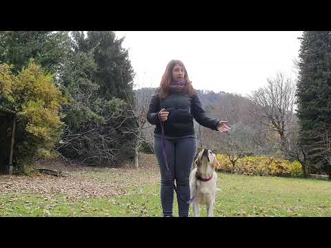 Videolezione 7: Il gira e la rimessa al piede