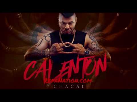 Chacal el calenton 2016