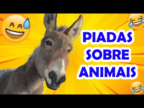 PIADAS SOBRE ANIMAIS MUITO ENGRAÇADAS - HUMORISTA THIAGO DIAS