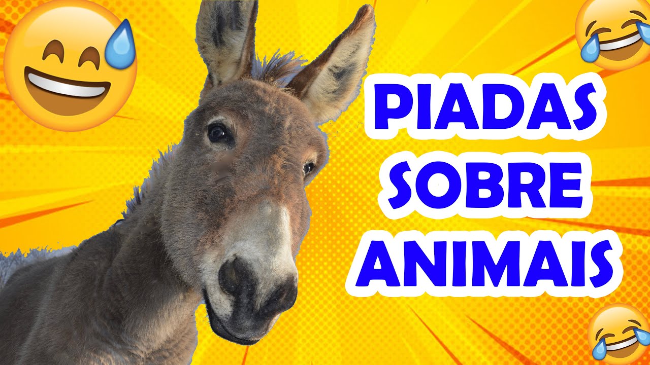 PIADAS SOBRE ANIMAIS MUITO ENGRAÇADAS - HUMORISTA THIAGO DIAS