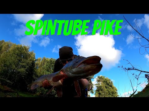 Haukea Spintubella | Kalastus 2020