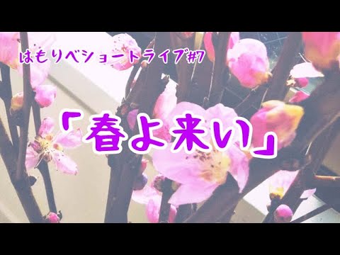 教養学科 『春よ来い』＿2021ショートライブ#7