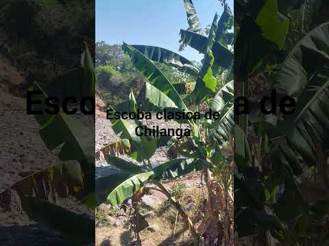 Chilanga Morazan #chanchonas