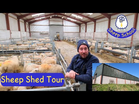 Sheep Shed Layout And Design. Lambing Time Approaches...