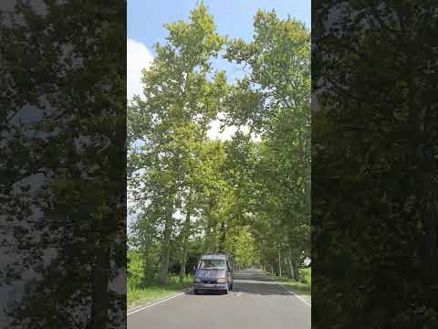 #rewîtî #music #travel #trip #automobile #roadtrip