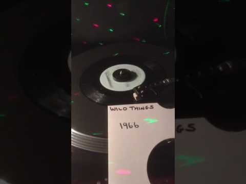 The Troggs Wild Thing from 1966 ( Vinyl)