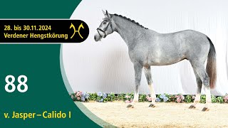 Video von Hengst von Jasper / Calido I