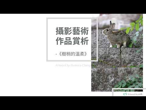 攝影藝術微噴原作 - 《樹梢的溫柔》