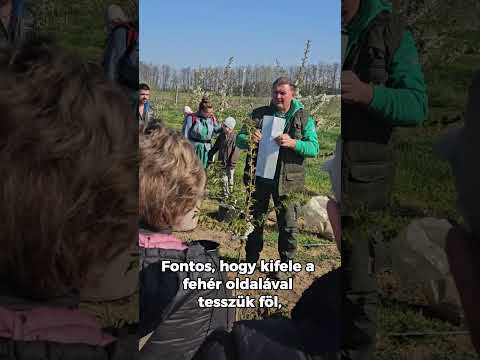Törzsvédő fólia ültetéskor videó