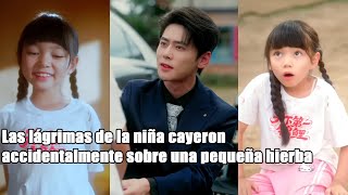 Las lágrimas de la niña cayeron accidentalmente sobre una pequeña hierba