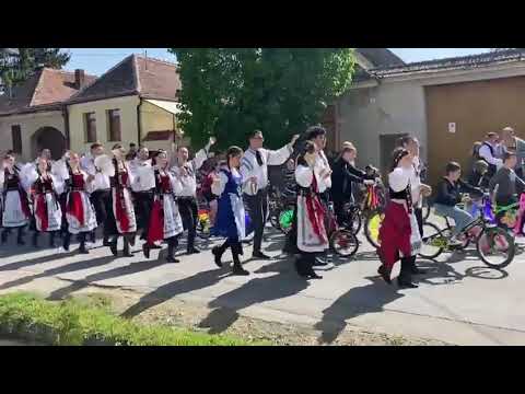 Fanfara de la Petrești. Concert de 1 mai