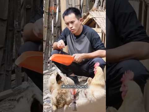 เมื่อนักประดิษฐ์มาเลี้ยงไก่