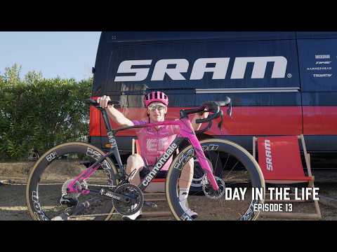 Harry Sweeny and 2 more