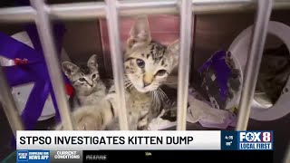 Crates of kittens dumped outside St. Tammany animal shelter on sweltering day
