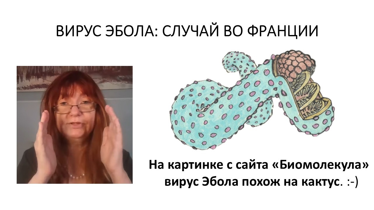 ВИРУС ЭБОЛА: Случай во ФРАНЦИИ