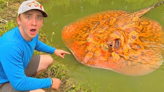 I Finally CAUGHT the POND MONSTER!