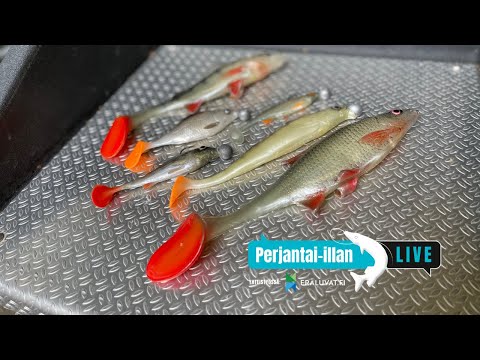 Perjantai-illan LivE: Realistiset vieheet