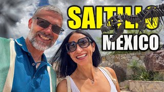 Saltillo, Mexico SURPRISED Us! 🇲🇽 Incredible Museum, Tacos & Hidden Gems | Travel Vlog