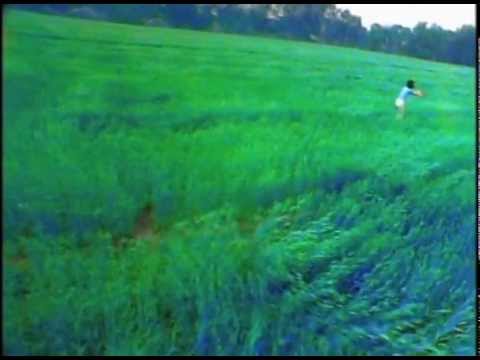 王菲 - 無常 MV 1996