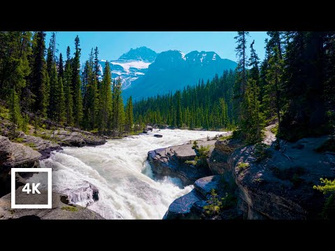 4K Jasper National Park Mistaya River Rapids Ambience | Relaxing Nature Sounds | Canadian Rockies