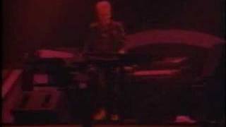 Howard Jones - Pearl In The Shell - Live