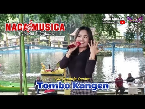 Tombo Kangen - Nadhifa Candra - NACA MUSICA Live Paggora Kediri