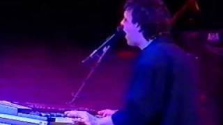 Purple Schulz LIVE: Nie genug 1989